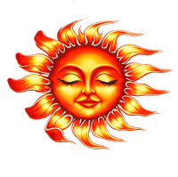 Sonoran Sun Home Inspection